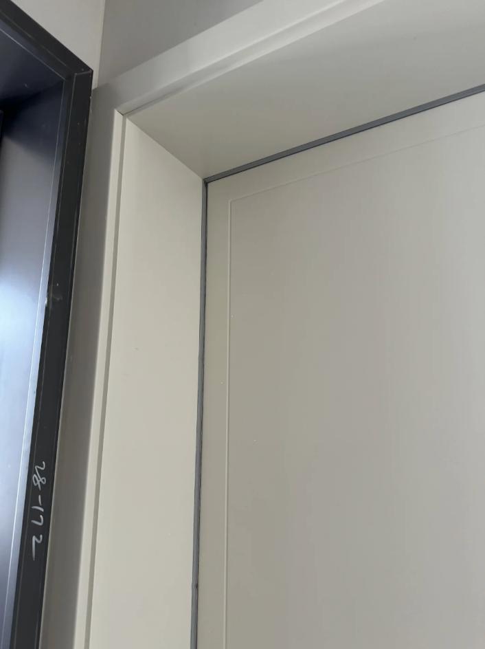 Dust-sealing strip at the door edge
