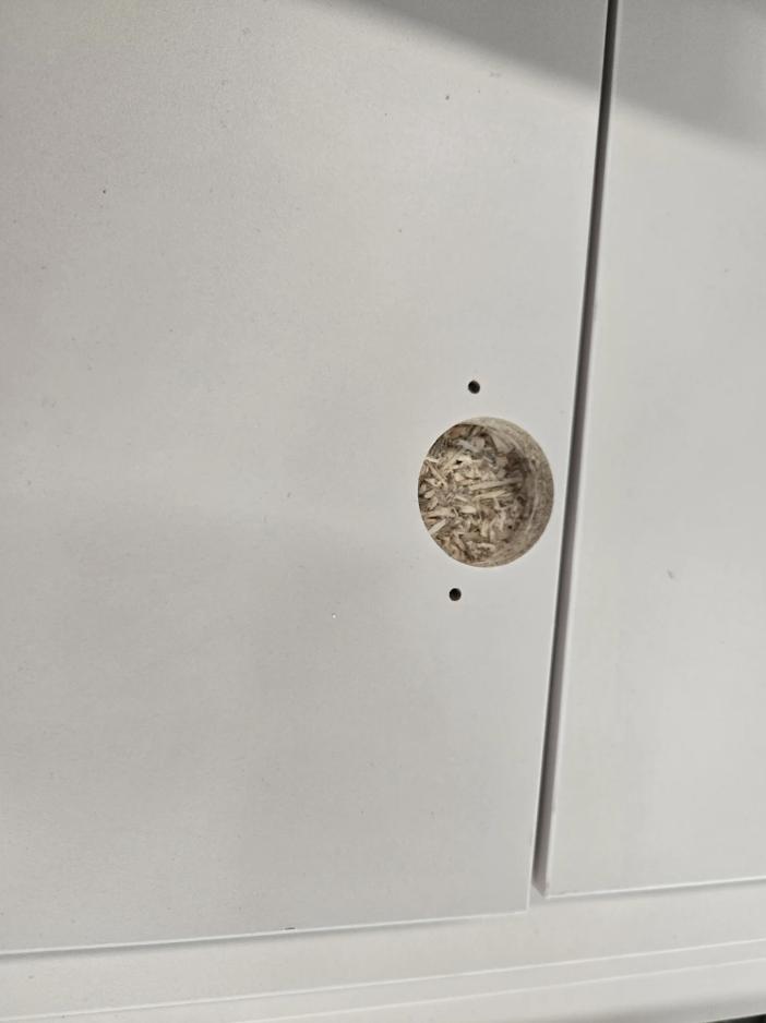 Counter-bored hinge pilot holes